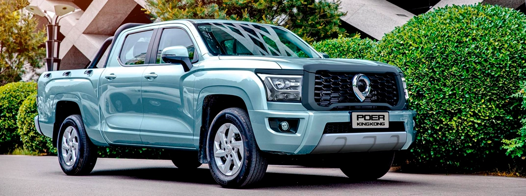 Great Wall Poer King Kong